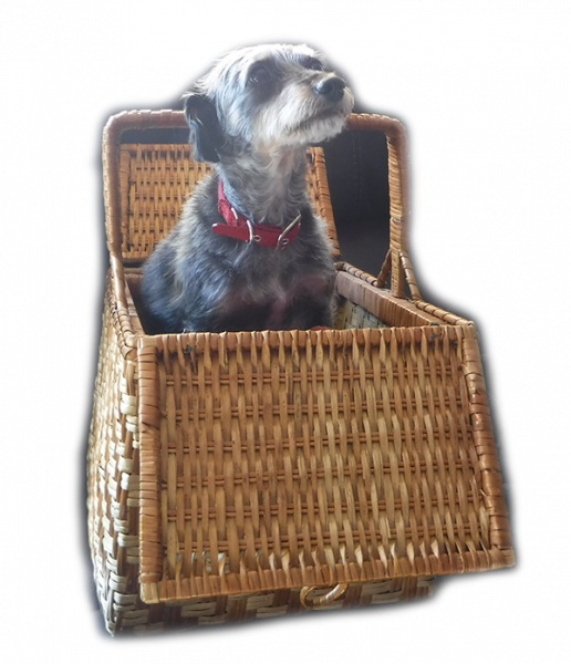 Little dog in basket - PetStatues.net